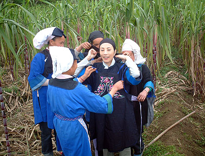 lizawang.com