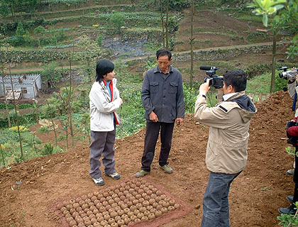 lizawang.com