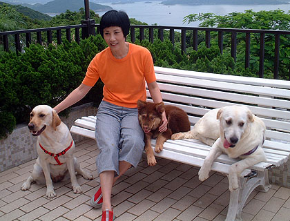 lizawang.com