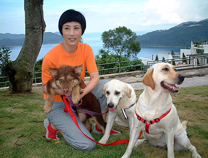 lizawang.com