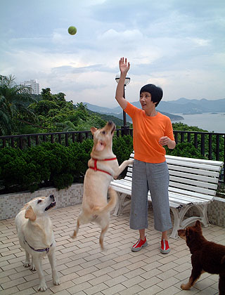 lizawang.com
