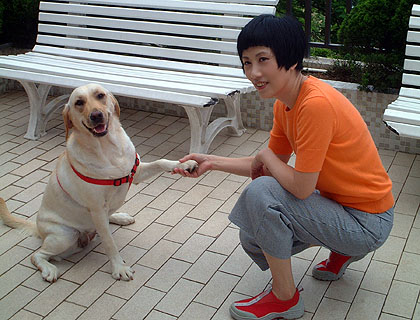 lizawang.com