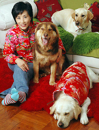 lizawang.com
