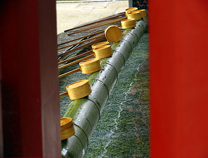 lizawang.com