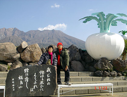 lizawang.com
