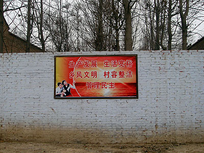 lizawang.com