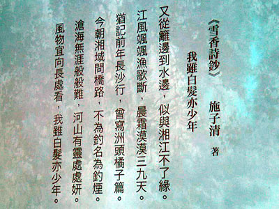 lizawang.com