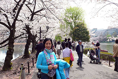lizawang.com