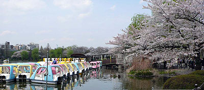 lizawang.com