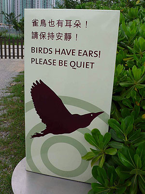 lizawang.com