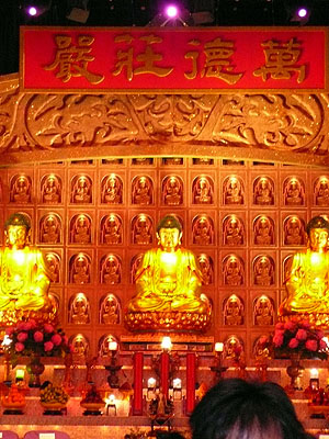 lizawang.com