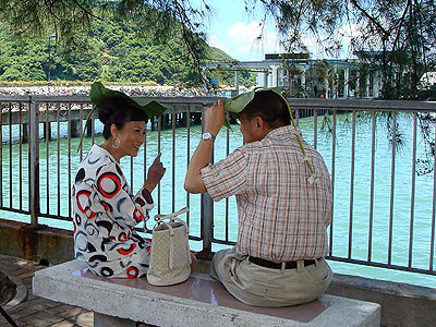 lizawang.com