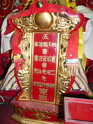 lizawang.com
