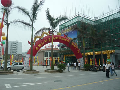 lizawang.com