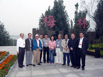 lizawang.com