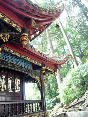 lizawang.com