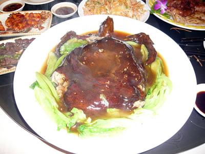 lizawang.com
