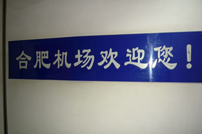 lizawang.com