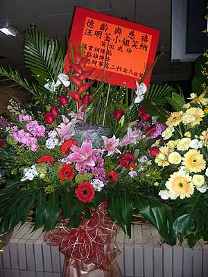 lizawang.com