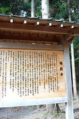 lizawang.com