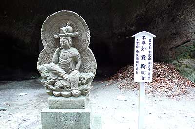 lizawang.com