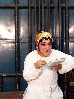 lizawang.com