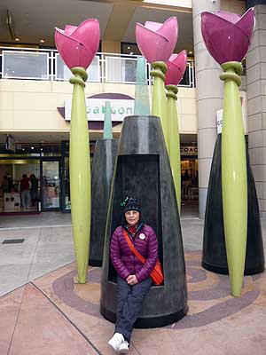 lizawang.com