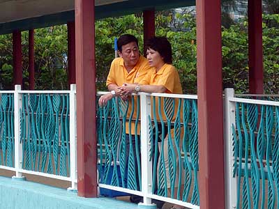 lizawang.com
