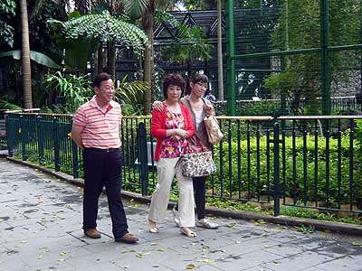 lizawang.com