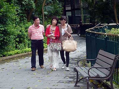 lizawang.com