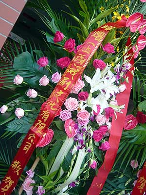 lizawang.com