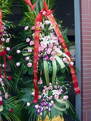 lizawang.com