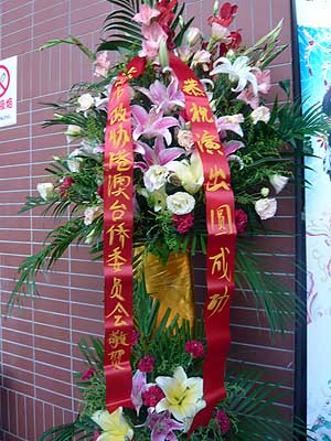 lizawang.com