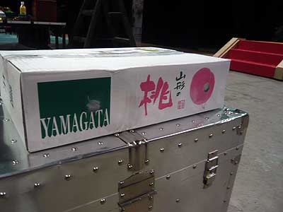 lizawang.com