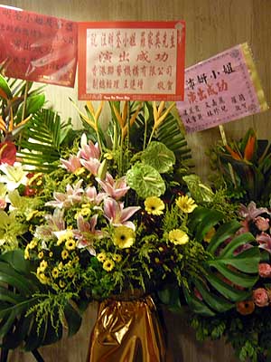 lizawang.com