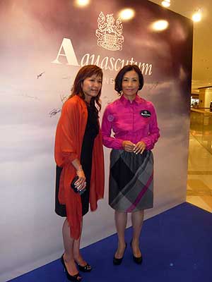 lizawang.com