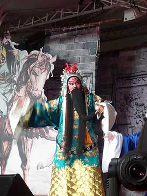 lizawang.com
