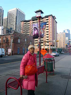 lizawang.com
