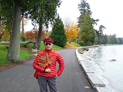 lizawang.com