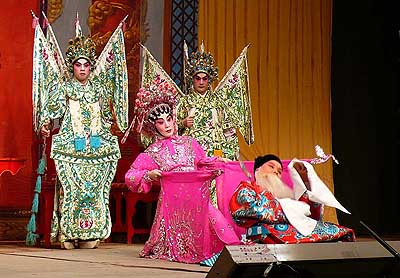 lizawang.com