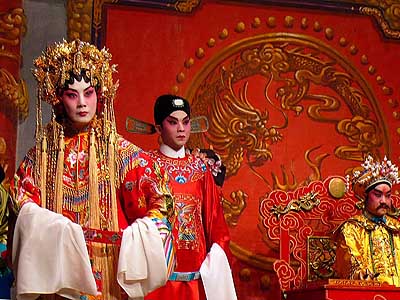 lizawang.com
