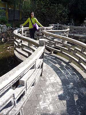 lizawang.com