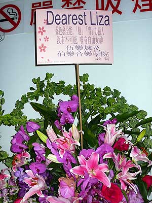 lizawang.com
