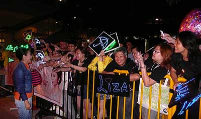 lizawang.com