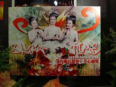 lizawang.com