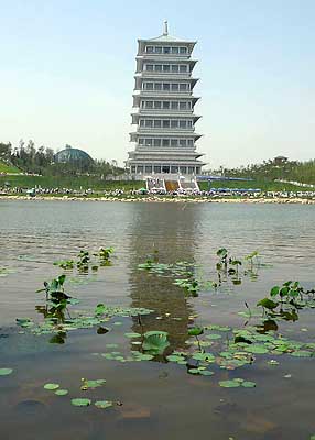 lizawang.com