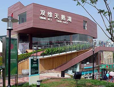 lizawang.com