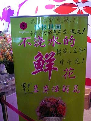 lizawang.com