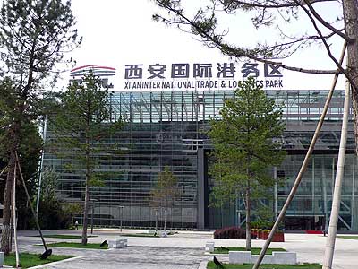 lizawang.com