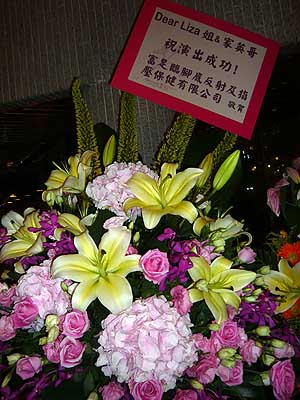 lizawang.com